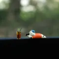Bonita figura de gato de resina con mini té de limón decoración de salpicadero de coche. - Gato Fotógrafo + Café Helado