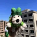 Cute West Highland white dog plush bag charm with green bow and sweater keychain variant. - Green Bow Westie Green Sweater Green Lanyard