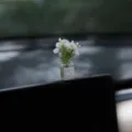 Mini vazaki gia tampo aftokinitou me gyalino boukalo kai lefka louloudia diakosmisi - Διακοσμητικό βάζο με λευκό γιασεμί