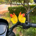 Adorno de mariposa con resorte 3D para manillar de moto eléctrica e interior de coche. - Mariposa Armadura Dorada