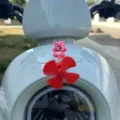 Primo piano di un grazioso ornamento a girandola con orsetto rosa per scooter elettrico. - Piccolo Aeroplano Luminoso Orso Seduto 1 Pz