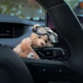 Cute car steering column shifter teddy bear plush toy with pilot goggles interior decor - Aviator Bear Charm