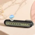 Dettaglio della simpatica carta parcheggio fungo blu, targa numero telefono auto nera. - Fungo Blu Sorridente / Nero Inchiostro
