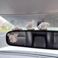 Cute blushing white puppy car rearview mirror ornament kawaii dashboard interior decoration - Red-Faced Puppy 4-Piece Set / Set of 4