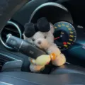 Lindo peluche oso coche volante limpiaparabrisas colgante decorativo muneco accesorio - Oso Pardo con Lazo Negro y Caramelo