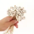 Bayas secas de árbol de sebo blanco natural ramo de flores DIY decoración nórdica - Frutos blancos pequeños de rama corta 30 g (longitud aprox. 25 cm)