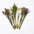 Ramo de flores secas naturales para decoración de jaula de hámster y arreglos florales. - Floración de Verano (Aprox. 80g) / Mansión de Cuento de Hadas (Aprox. 80g)