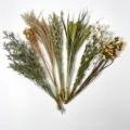 Ramo de flores secas naturales plantas mixtas para la decoración de jaulas de mascotas y hogar. - Carta de Primavera (Aprox. 80g) / Carta de Primavera (Aprox. 80g)