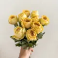 Natuurlijk gedroogd geel rozenboeket, vintage bloemstuk voor huisdecoratie en fotorekwisieten. - Gouden Tak Roos 10 Stelen