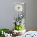 Adorno de botella de vidrio de diente de león preservado, regalo de flor eterna decoro. - Diente de león verde (Diámetro 6,5 x 15 cm)