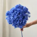 Ramo de hortensias azules secas naturales flores preservadas para decoracion del hogar - 1 Pieza/Paquete / Azul marino