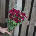 Ramo de rosas secas con hojas de eucalipto para decoración del hogar y regalos románticos. - Rosa Neón 35 Tallos