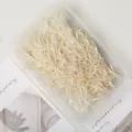 Λευκανμένα αποξηραμένα φύλλα DIY χειροποίητο διατηρημένο υλικό λουλουδιών για διακόσμηση - 10 g / Λευκό