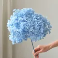 Ramo de flores secas hortensia azul, decoración floral natural preservada para florero de sala. - 1 Pieza/Paquete / Azul claro