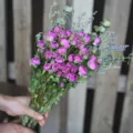 Gedroogde rozen boeket paarse bloemen decoratie voor thuis interieur en bloemstuk - Sophie Roos 35 Stelen