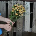 Gedroogd rozenboeket met eucalyptusbladeren, ideaal voor huisdecoratie en Valentijnsdagcadeau. - Avocado Roos 35 Stelen