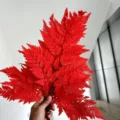 Διατηρημένο κόκκινο μπουκέτο από αλπική φτέρη αποξηραμένα λουλούδια για γαμήλια διακόσμηση - Σετ 10 Τεμαχίων / Κόκκινο