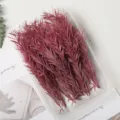 Λευκασμένα αποξηραμένα φύλλα φυτών για DIY χειροτεχνίες, ανθοσυνθέσεις και διακόσμηση σπιτιού. - 10 g / Σκούρο Τσάι