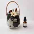 Glasbeutel-Aromatherapie-Set mit natürlichen Kristallsteinen und Trockenblumen für die Inneneinrichtung. - Englische Birne & Freesie Mondbox Set
