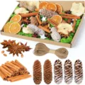 Set de material de decoracion navideña DIY con piñas, ramitas de canela y rodajas de naranja. - Set de accesorios de Navidad, estilo A (en caja)