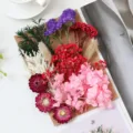Kit αποξηραμένων λουλουδιών για DIY κορνίζες, αρωματικά κεριά, πολύχρωμες χειροτεχνίες. - Κόκκινο Ροζ