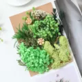 Σετ αποξηραμένων λουλουδιών Α5 για DIY κατασκευές, αρωματικά κεριά και κορνίζες. - Κυανό Πράσινο