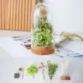 Flor preservada diente de león cúpula de vidrio kit DIY luz nocturna decoración - Planeta azul (diámetro 6,5 * 15 cm)
