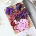 Σετ αποξηραμένα λουλούδια για χειροτεχνία DIY, χρωματιστό υλικό λουλουδιών για κορνίζα - Φούξια