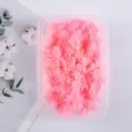 Flores secas de espárrago rosa preservadas caja de material de manualidades DIY para decoración. - Rosa fuerte