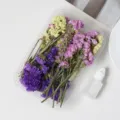 Mixed dried flowers DIY material pack for resin crafts, epoxy molds, home decor and handmade art. - Mixed Forget-Me-Nots