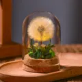 Luz nocturna LED diente de leon flor preservada cúpula de vidrio regalo romántico cumpleaños - Degradado Verde