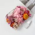 DIY dried flowers material pack mixed flower box for handmade frame bouquet home decoration - Elegant Pink Series