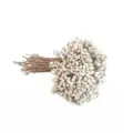 Ramo de flores secas de bayas blancas, rama de planta nórdica para decoración del hogar. - Bayas blancas de rama corta 1000 g (aprox. 25 cm)