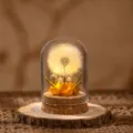 Flor eterna de diente de león cúpula de vidrio luz nocturna LED cálida regalo romántico - Degradado de Otoño