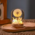 Luz nocturna LED diente de león flor seca preservada cúpula de vidrio regalo cálido - Blanco Puro