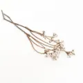 Branches sechees de fruits de suif blancs pour decoration interieure DIY style nordique. - Branches de ginkgo blanc 100 g (environ 65 cm, 4 branches)