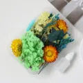 DIY dried flowers material pack for resin crafts, phone case, and photo frame decor. - Pomelo Memory Series