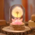 Lámpara de noche cúpula de vidrio con diente de león preservado regalo romántico - Rosa de Ensueño