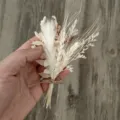 Mini mpouketo apo xeromena louloudia fysika diakosmisi doro cheiropoiito mikro fytika. - Μπουκέτο με καλάμια και σιτάρι Νο. 6 (μέγεθος περίπου 8-11 cm)