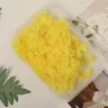 Yellow dried flower DIY filler material in clear box for craft handmade resin art decoration - Yellow