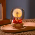 Dandelion preserved flower glass dome night light, warm LED desk lamp romantic gift. - Gold Red Gradient