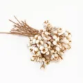 Bouquet de fleurs séchées de fruits de suif blanc, baies naturelles pour déco nordique et DIY. - Petits fruits blancs à branches courtes 50 g (longueur environ 25 cm)
