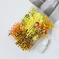 DIY dried flower material pack mixed flower box for home decor crafts crafting supplies - Yellow Series