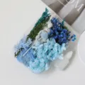 DIY dried flower material box preserved flowers assorted blue white craft floral kit for home decor - Blue Series