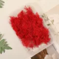 Red preserved asparagus fern dried flowers DIY craft material pack for gift box decoration - China Red