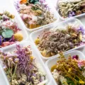 DIY dried flower material box mixed botanical specimen transparent box set for craft decoration - Random Flower Materials