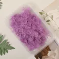 Purple preserved asparagus fern dried flowers for DIY craft, resin, and aromatherapy projects. - Taro Purple