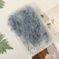 Preserved blue grey asparagus dried flowers, DIY craft floral material box for decoration. - Gray