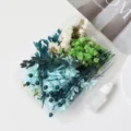 DIY dried flowers kit mixed floral box pressed flowers for craft photo frame resin art - Green Wilderness
