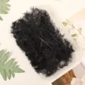 Black preserved asparagus fern dried flowers box for DIY craft resin art decor 1pc - Black